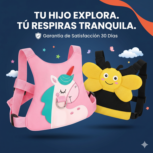 ARNES DE SEGURIDAD