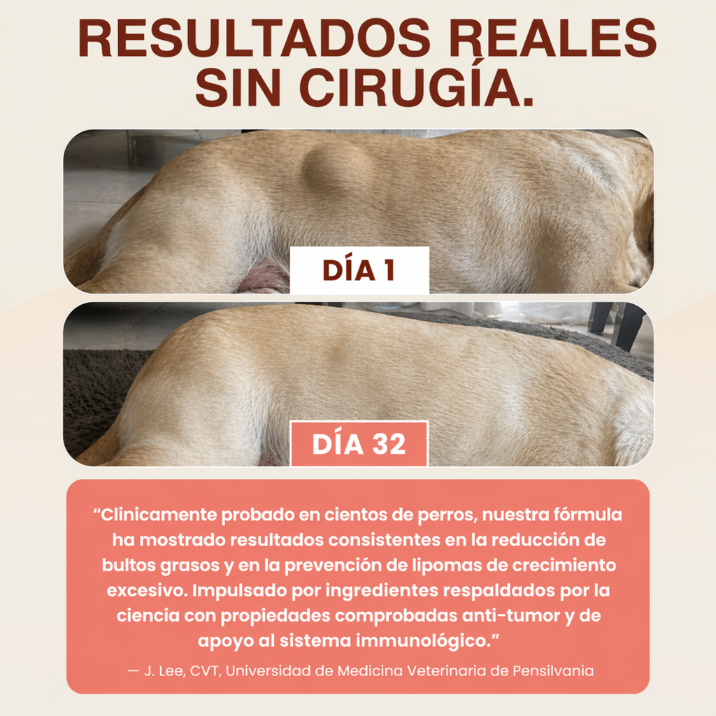 Resultados reales sin cirugía - Día 1 vs Día 32